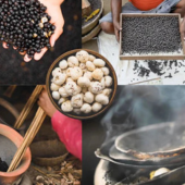 AgroTerminus Quality