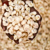 AgroTerminus Partnership